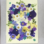 NO.㊷お買得品❣️フラワーガーデン／押し花素材