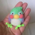 手乗りインコのチョンちゃんマグネット