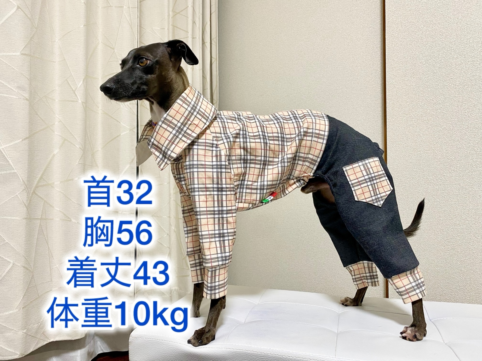 コトリページ　イタグレ服　ハンドメイド コトリ様専用ページ イタグレ服 ハンドメイド