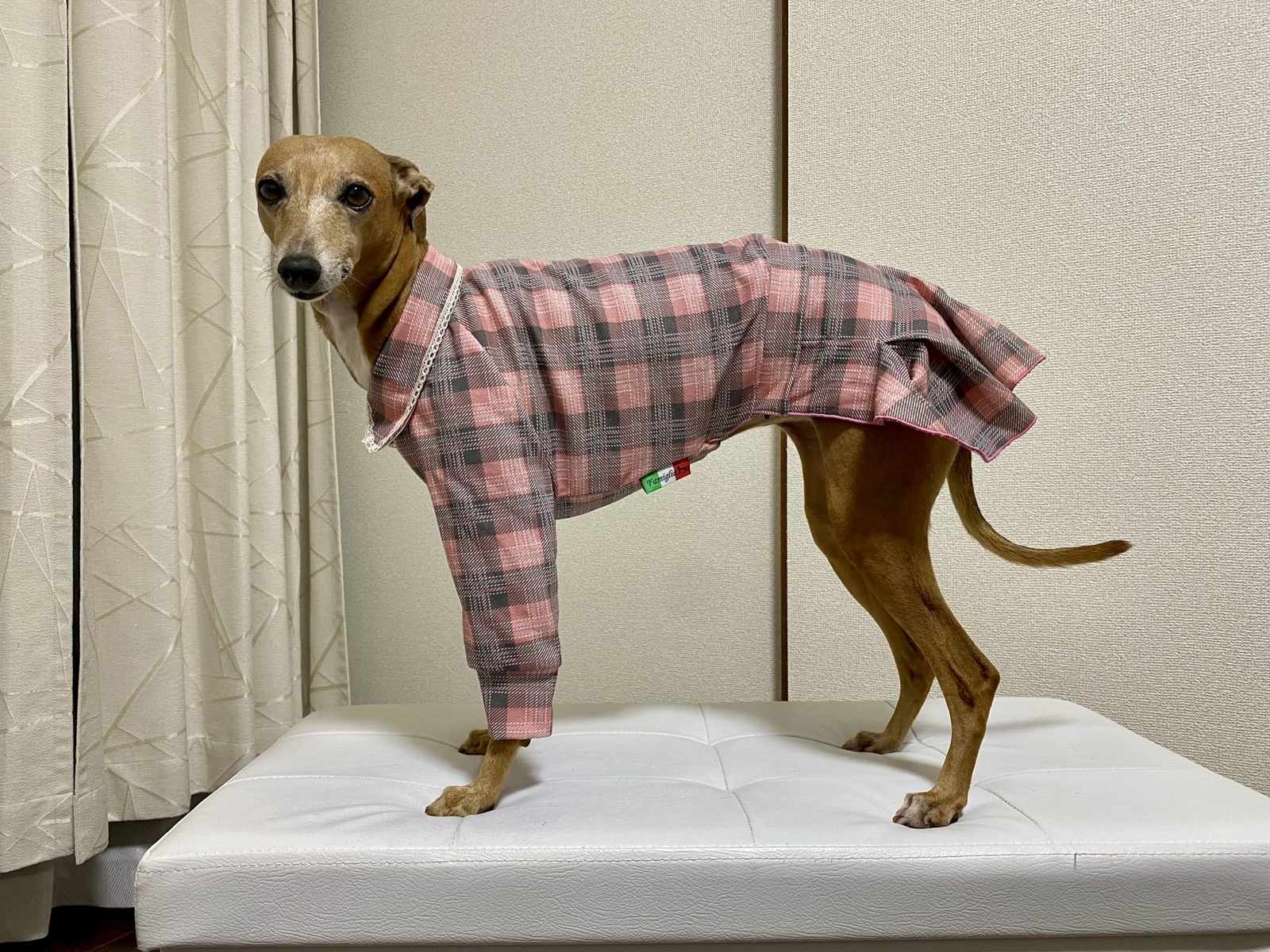 ココ　イタグレ服　ハンドメイド オーダーページ】イタグレ服 ハンドメイド ロンパース イタグレ