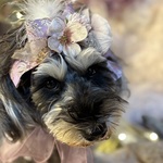 和柄リボンヘッドドレス