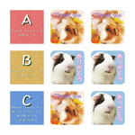 モルモット Thank you＆ありがとう シール 10枚セット