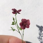 チョコレートコスモス（2本組）大きめ　クレイフラワー