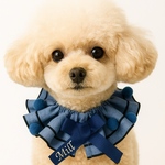 薄手デニム　二重襟スタイ　端＝メロー始末ポンポン付きお名前入り