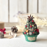 🎄ヴィンテージカラーが映える、ナチュラルクリスマスツリー🎄