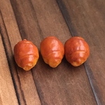 ロールパン（3個）K