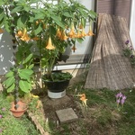 お客様専用です