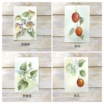 🕊️おまとめ🕊️  タップミント様