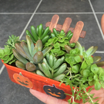 《お値下げ‼️》ハロウィン🎃リメ缶&多肉植物寄植え
