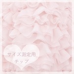 サイズ測定用チップ