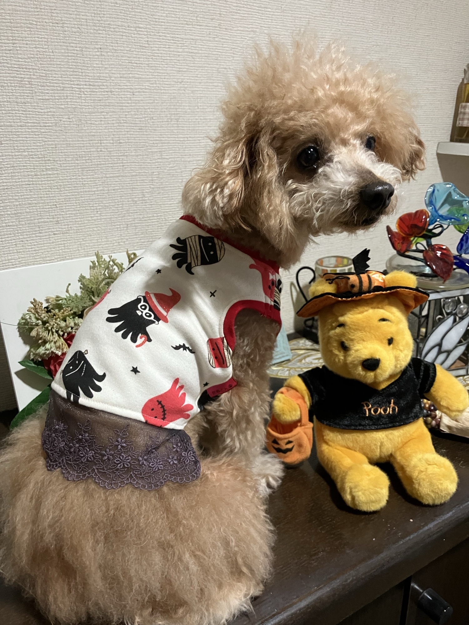 大型犬クールエプロン - 手作り犬服たぬとん🐶 | minne byGMOペパボ