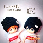 【ニット帽】ねんどろいどどーる 等向き　