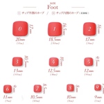 【24時間以内発送】【フット】計測用チップ サンプルチップ ネイルチップ全サイズ