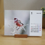 2026年野鳥たちの卓上カレンダー（1-12月　月曜はじまり）