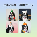 【roitomu様　専用ページ】Xmasツリーセット、お馬さんの鏡もち帽子、かぼちゃセット、他