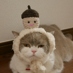 どんぐり子のかぶりもの