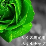 サイズ測定用ネイルチップ