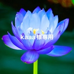 kaaa様専用カート