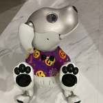 【スタイ】aiboちゃんのハロウィン スタイ　aibo's purple color Halloween style bib