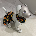 【スタイ】aiboちゃんのハロウィン スタイ　aibo's black color Halloween style bib