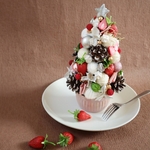 【'25 クリスマス早割】クリスマス苺ショートツリー★27cm