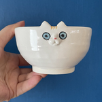 にゃんこ茶碗 お茶碗