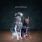 【イタグレ ウィペット】ブークレオパ ファーベスト