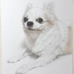 kuupaapaa様専用【犬の似顔絵　オーダー】　ペット　イラスト　色鉛筆画　犬　オーダーメイド　