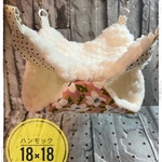 モモンガハンモック★18×18サイズ  可愛い淡い花柄