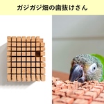 ガジガジ畑の歯抜けさん