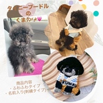 くま君専用ページ🐶💗