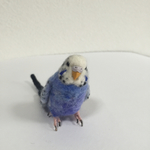 ※専用ページです※kaorimaomamo様ご依頼のミニサイズのセキセイインコちゃんです♪