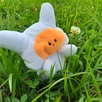 【ごまぷち】クリオネ