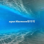 aqua bluemoon様専用