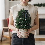 【ずっと変わらない】大きなクリスマスツリー　クリスマスツリー　クリスマス　飾り　卓上　インテリア　オーナメント　お祝い　ギフト　プチギフト