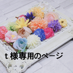 ｔ様専用ページです