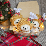  【ハリネズミ用被り物】クリスマスチキン帽子