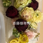 斎藤様専用ページ