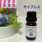 サイプレス　高品質グレード精油　エッセンシャルオイル