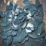 No.48様専用ページ！ユーカリリーフ