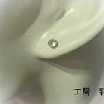 ☆お試し価格☆一粒スワロのプチプチピアス