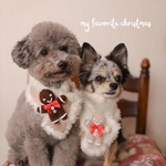 【犬ふかふかマフラーバレッタ付き】　犬 クリスマス Xmas マフラー 襟 ニット　サンタ　ジンジャーマン