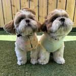 花柄タンクトップ🧡オレンジLサイズ