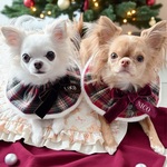 Christmas check cape -green- ♡ / うちの子刺繍/スタイ/ケープ/ネーム/バースデースタイ/お誕生日スタイ/ Xmas /犬/クリスマス/お誕生日