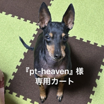 『pt-heaven』様専用カート