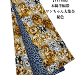【1日1品】4339木綿半幅帯　ワンちゃん大集合柄　秘色　帯単品売り