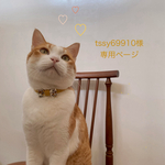 tssy69910様専用ページ　猫首輪　花柄　リバティ　リボン　Floribunda   マスタード　ハーフリネン