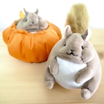 かぼちゃ満喫リスちゃん