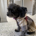 小さめワンちゃんのフリースパーカー