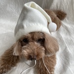 フリースサンタ帽子🤶(白)